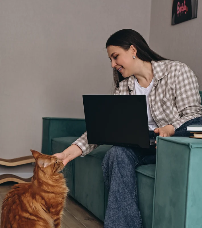 Юлия Минина - создание сайтов, поддержка сайтов, настройка и ведение контекстной рекламы